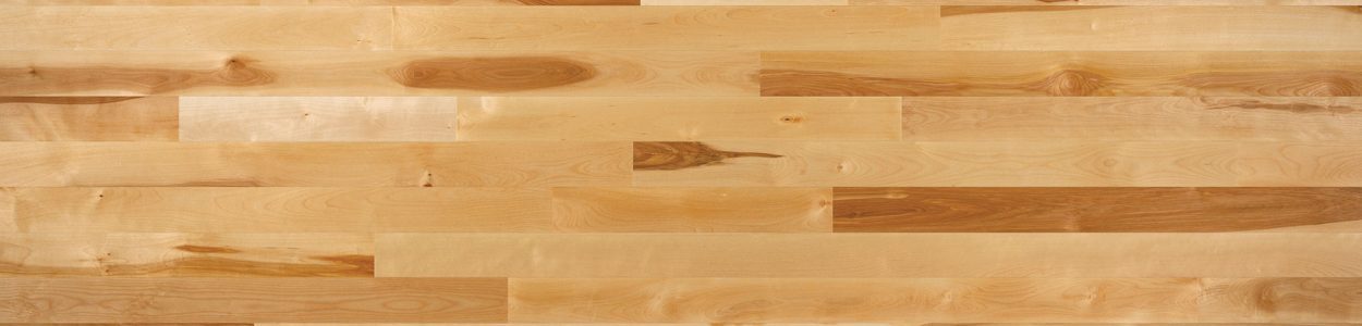 Lauzon Expert Natural Yellow Birch Solid; 2 1/4